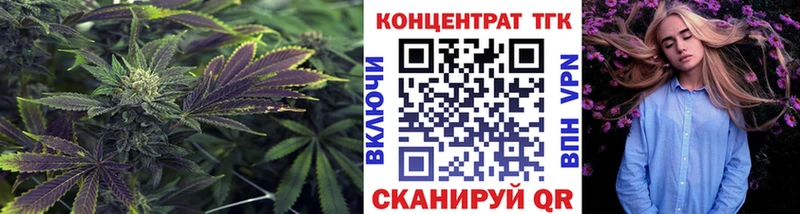 Купить закладки  Ленинск  ТГК вейп 