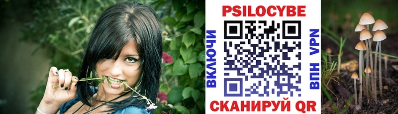Галлюциногенные грибы мицелий  Купить  Ленинск 